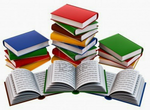 Mercadillo de libros